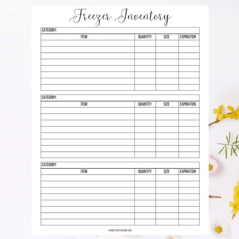 Organizing Budgeting Printables Archives