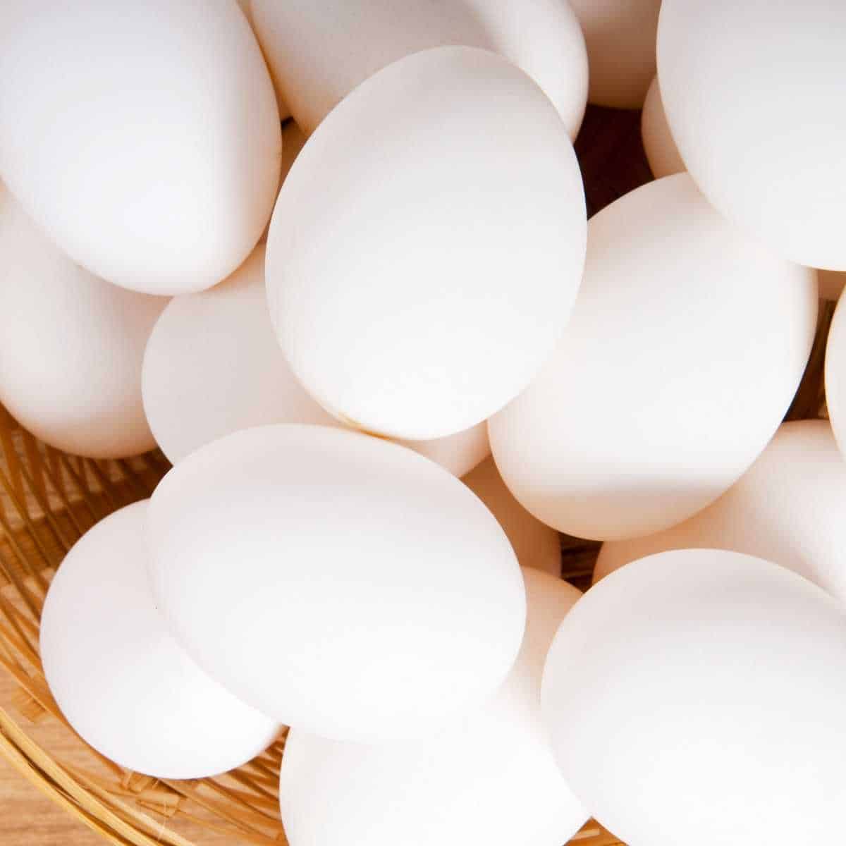 15 Chicken Breeds That Lay White Eggs