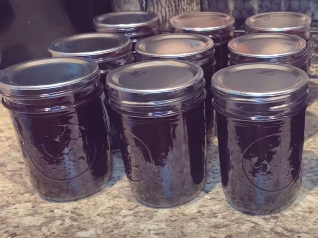 mason jars of dark purple mulberry jelly