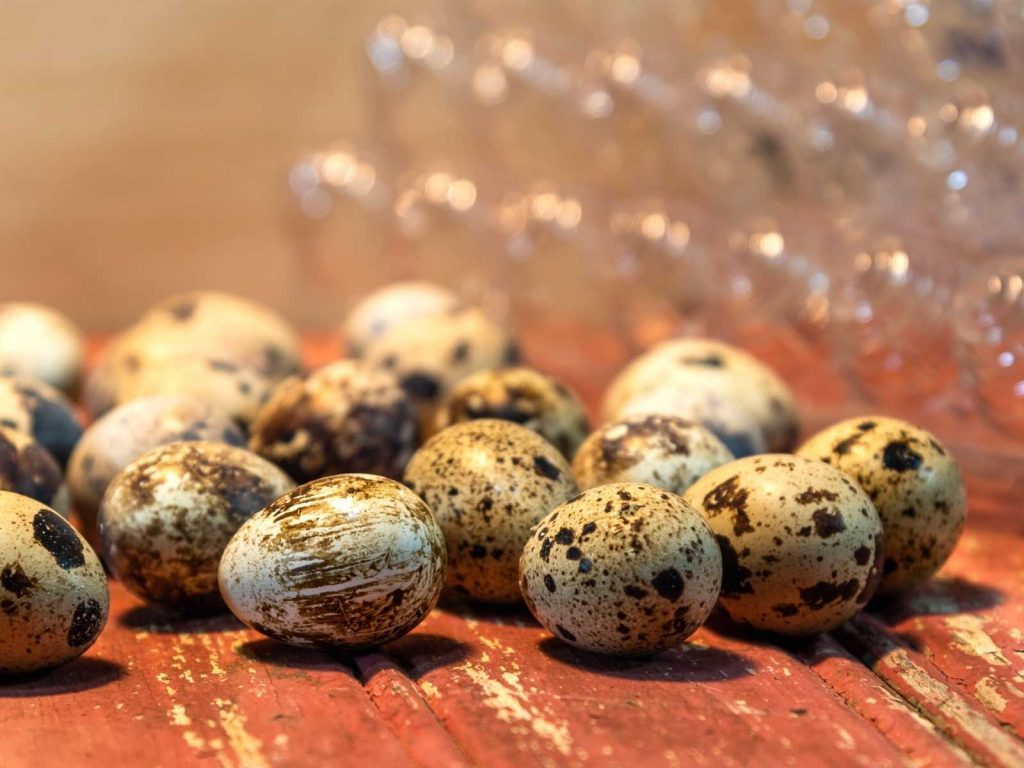 small brown and white eggs on wooden table