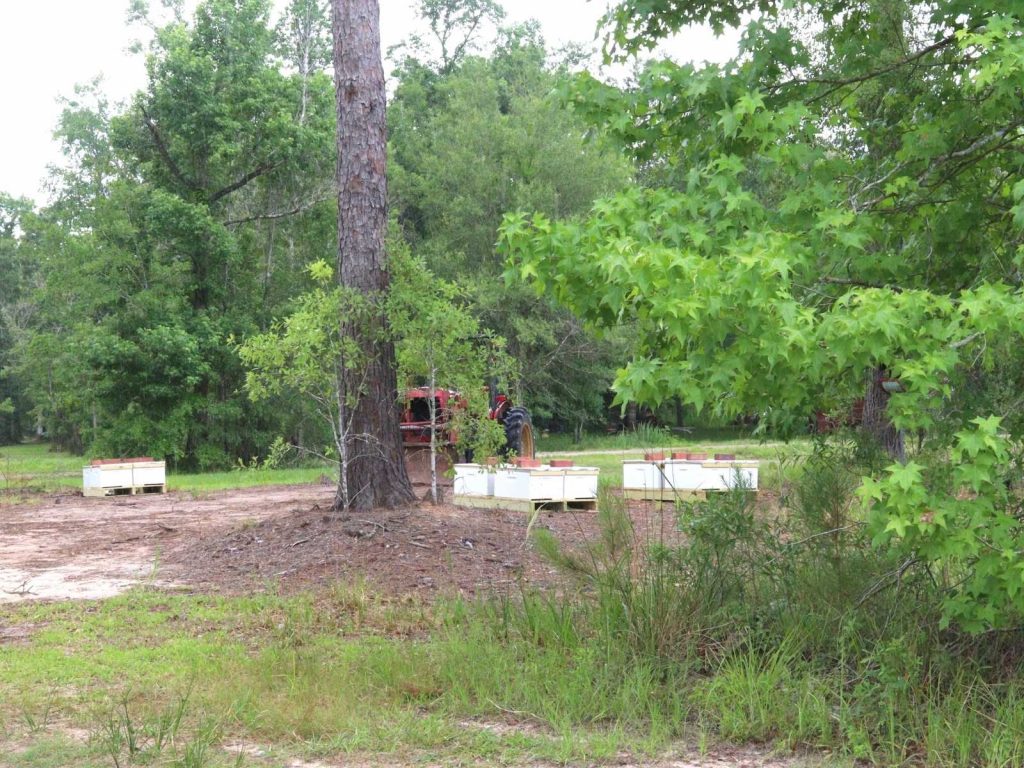 white boxes sitting next to tall brown tree trunk and green leaves