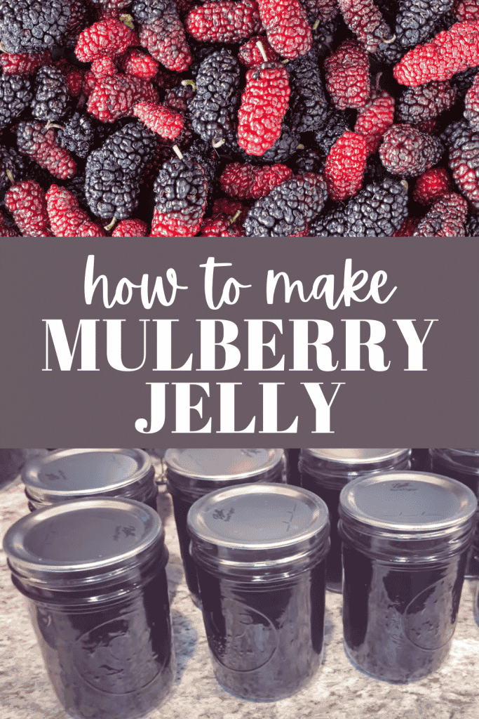 mulberries and jelly in mason jars