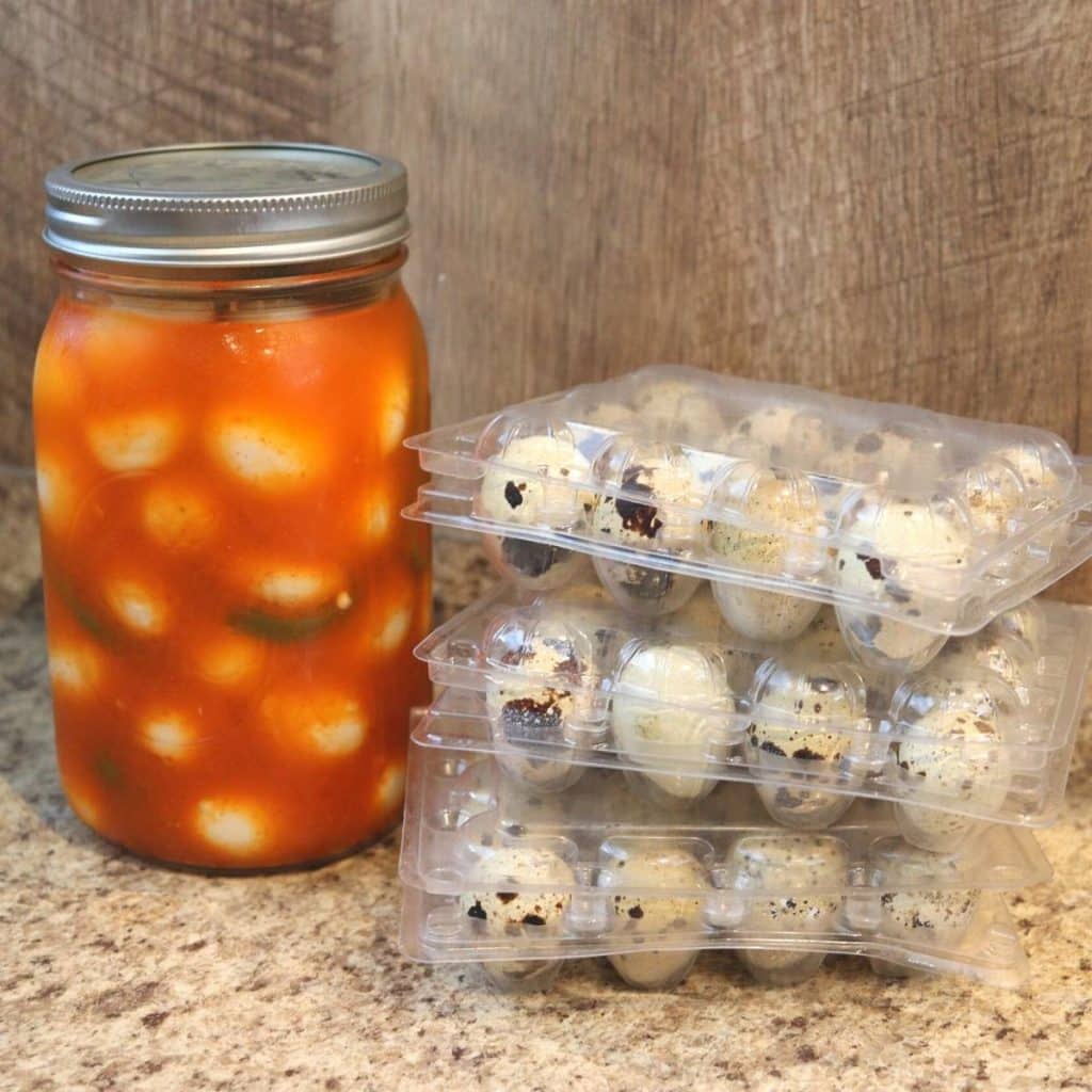 Hot And Spicy Pickled Quail Eggs Recipe Humbly Rooted Home 