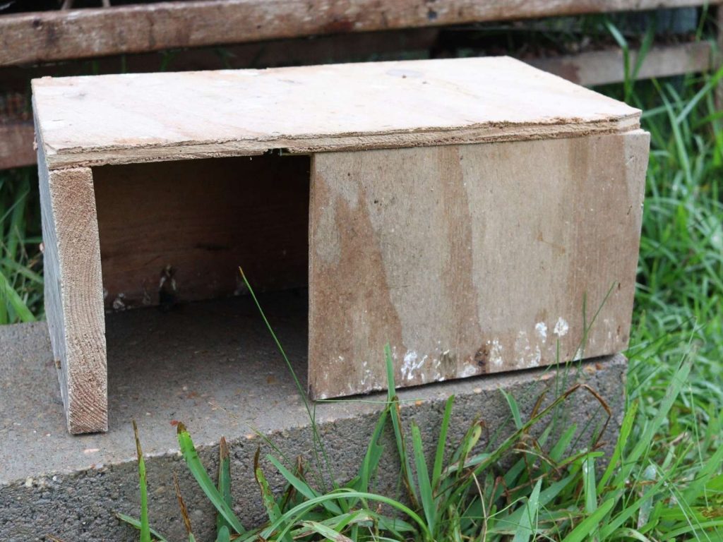 small wooden house made to keep quail warm in winter
