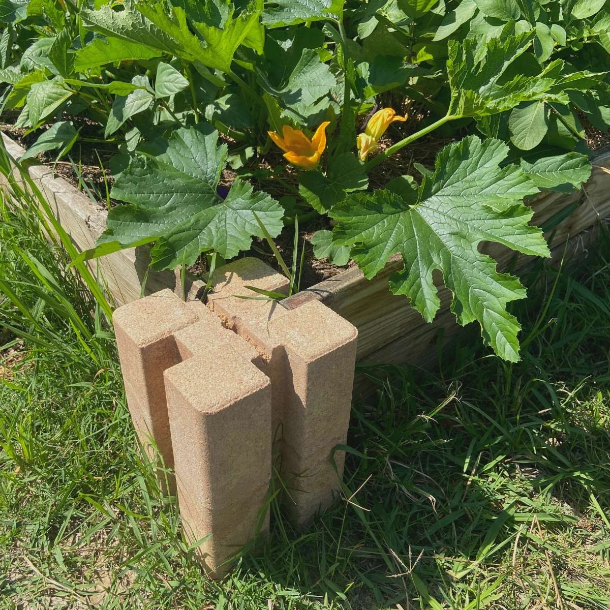 Easy Raised Garden Bed on a Budget (How to Build and Fill)