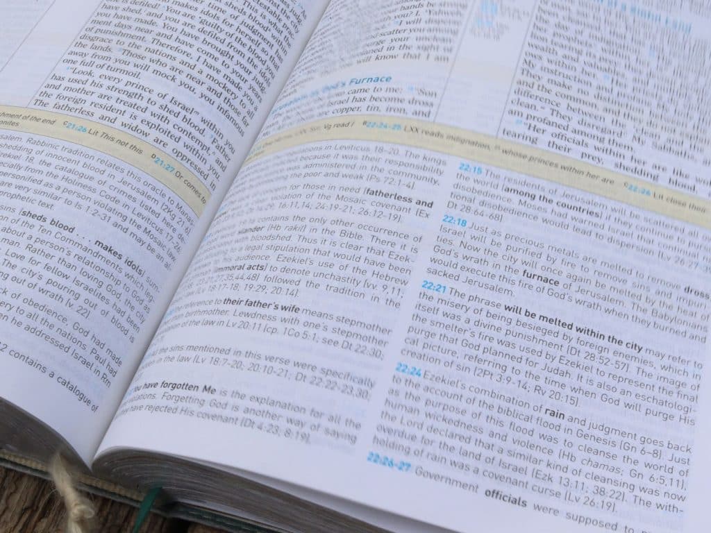 UPCLOSE VIEW OF COMMENTARY IN  HCSB STUDY BIBLE