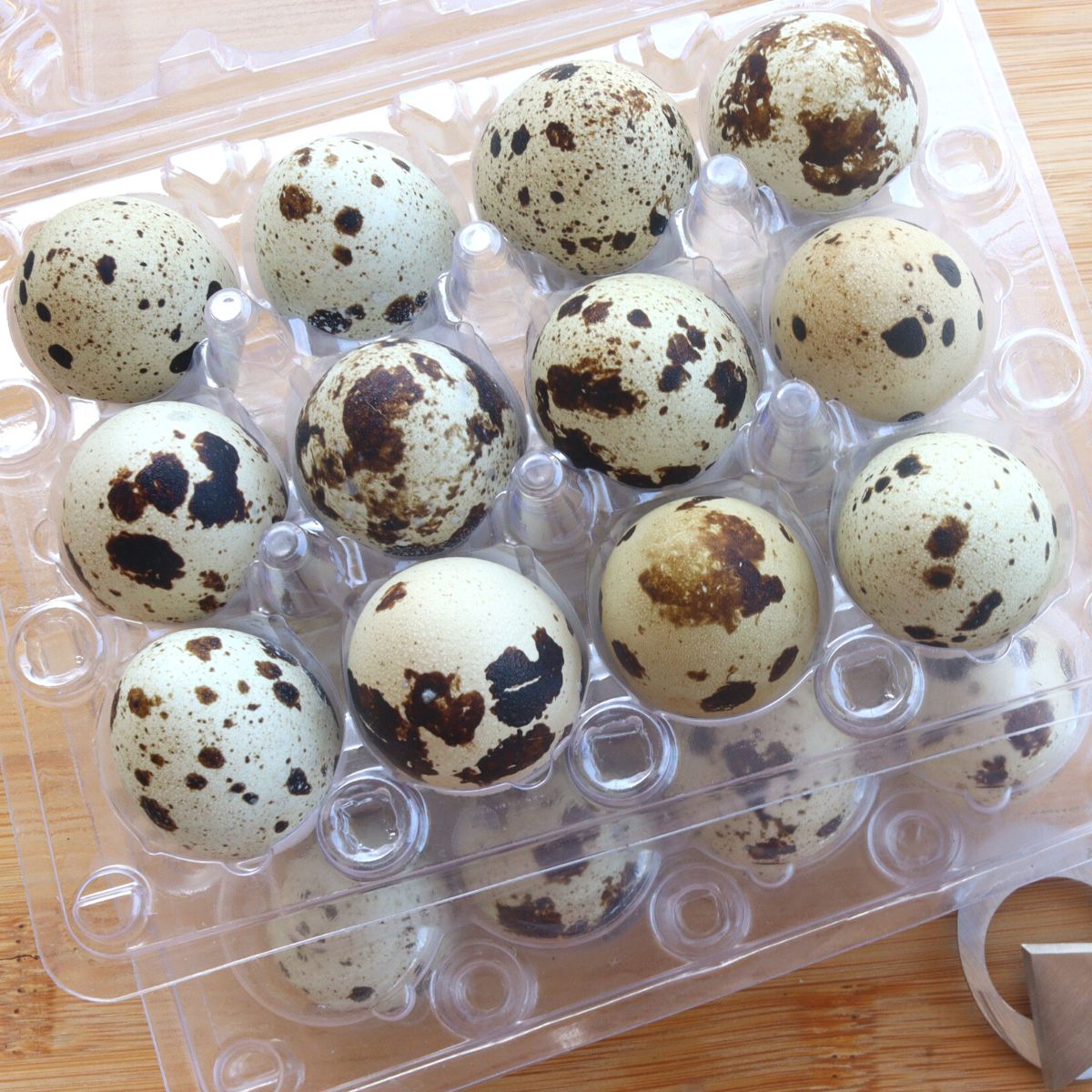 How to Store Your Quail Eggs for Freshness