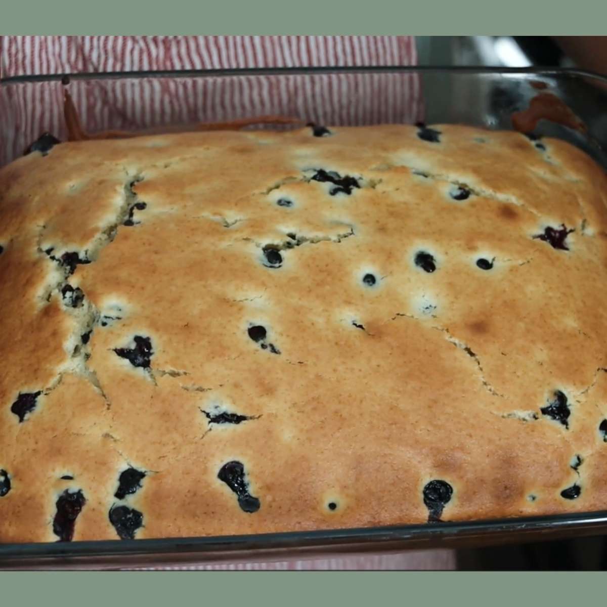 Blueberry Muffin Cake Recipe (Quick and Easy)