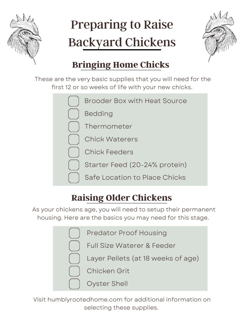 supplies to raise chickens checklist