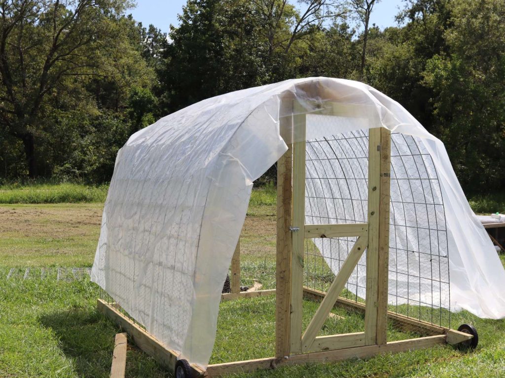 chicken house made from wood, cattle panels and plastic covering