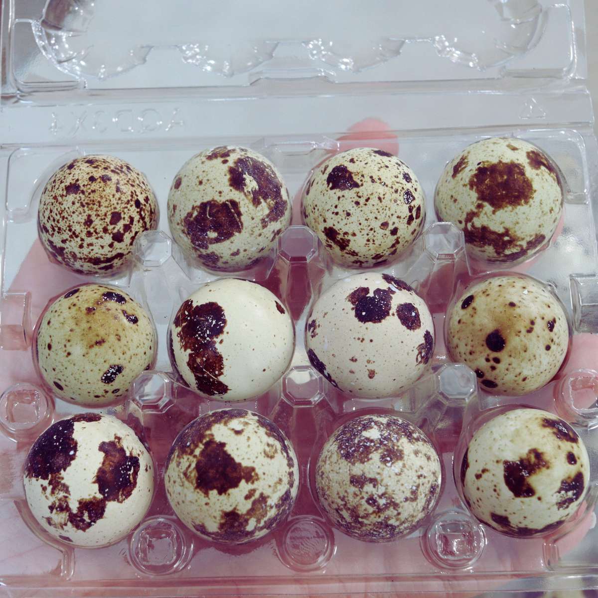 Water Glassing Quail Eggs for Long-Term Storage