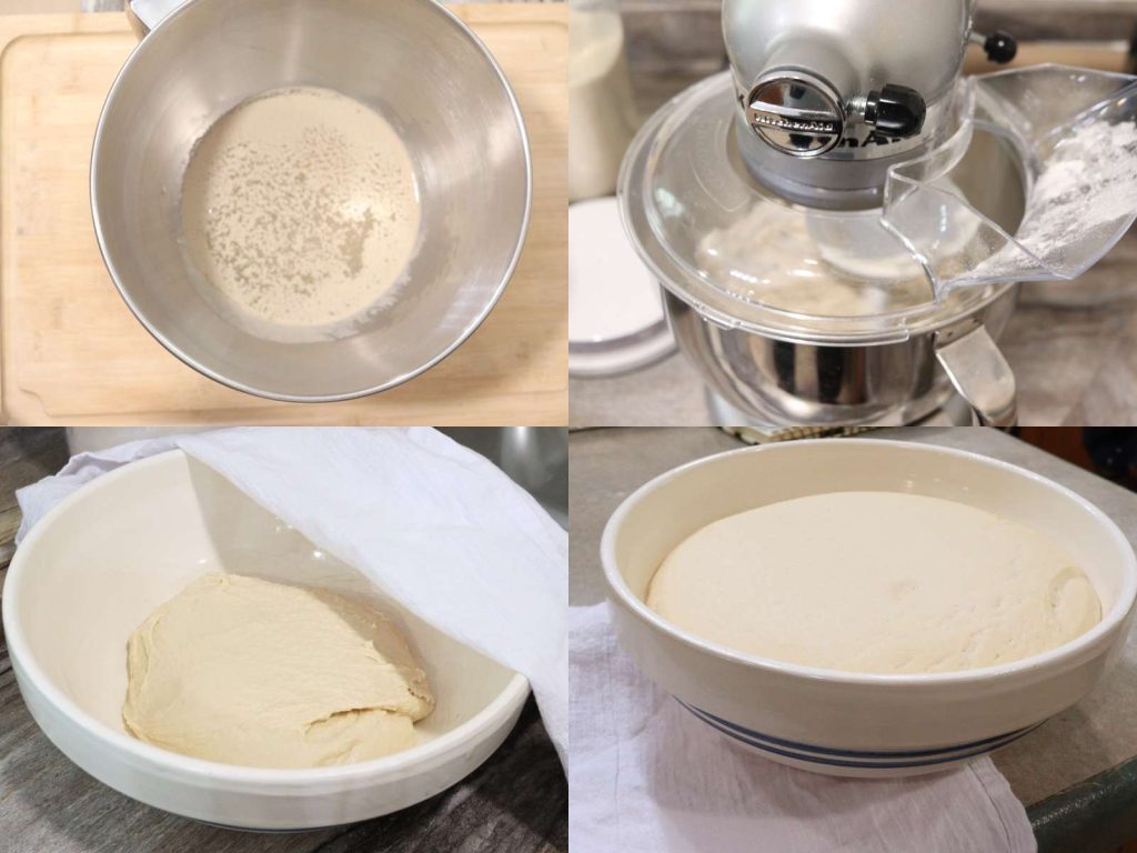 collage of four photos during the roll making process. yeast in the bowl of a stand mixer being proof, flour being added to stand mixer, dough in large mixing bowl, dough that has grown in size after rising