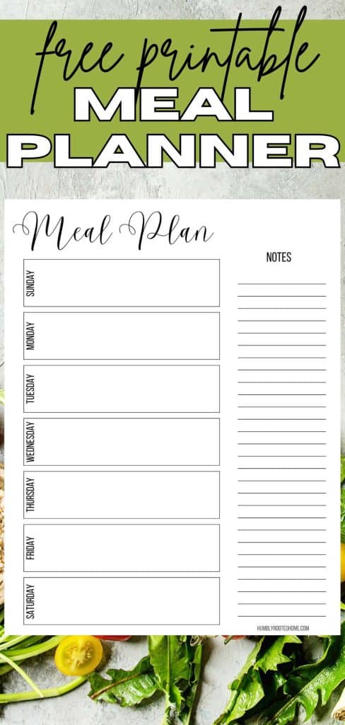 meal plan printout on counter