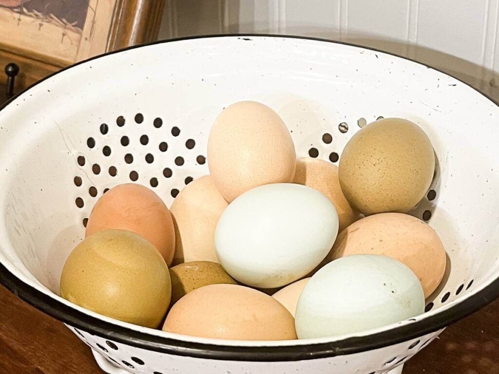 a white bowl with backyard chicken eggs in it